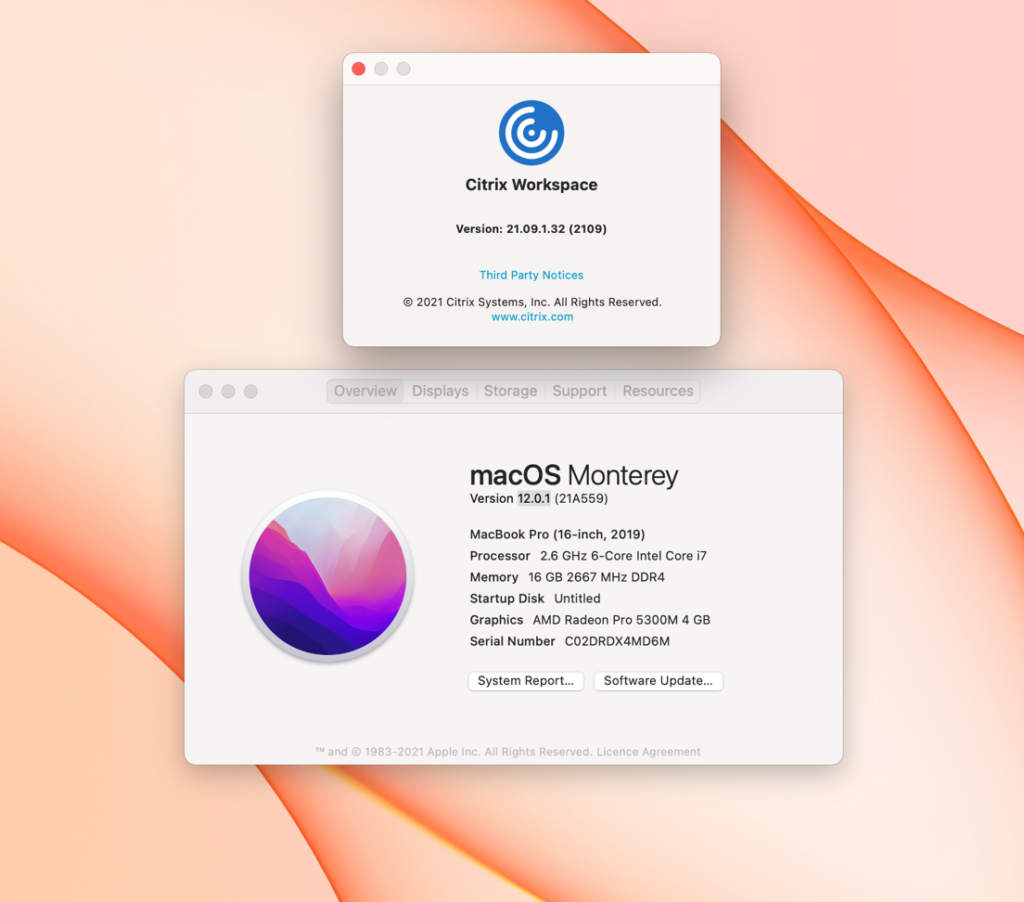 Introducing Day 0 support for macOS Monterey on Citrix Workspace app for Mac