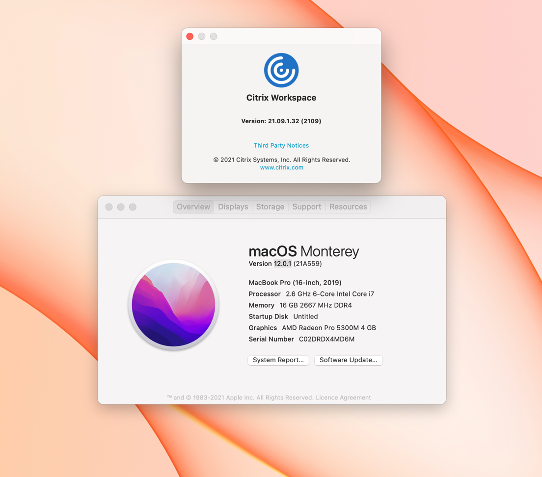 mac citrix alt tab not working